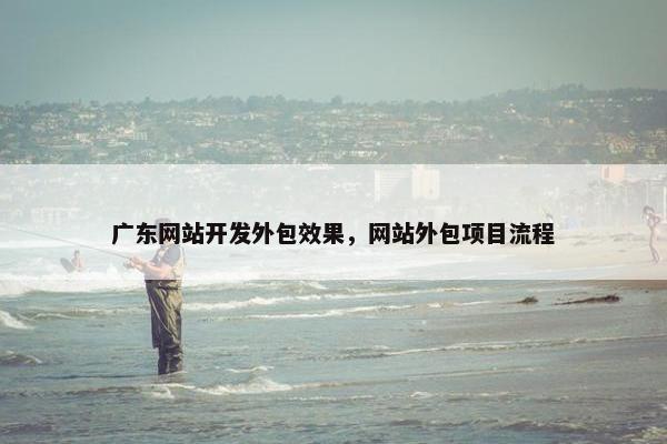 广东网站开发外包效果，网站外包项目流程
