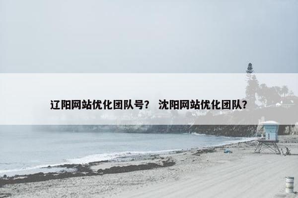 辽阳网站优化团队号？ 沈阳网站优化团队？