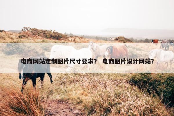 电商网站定制图片尺寸要求？ 电商图片设计网站？