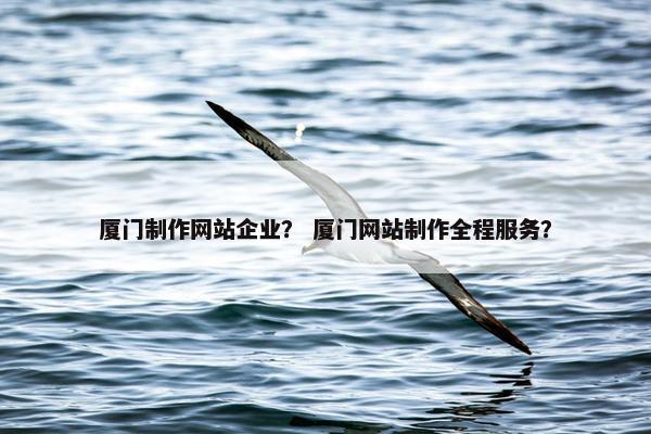 厦门制作网站企业？ 厦门网站制作全程服务？