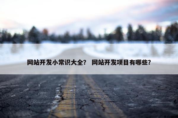 网站开发小常识大全？ 网站开发项目有哪些？
