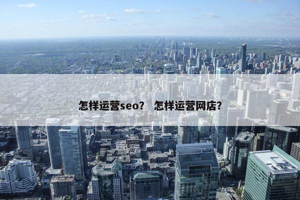 怎样运营seo？ 怎样运营网店？