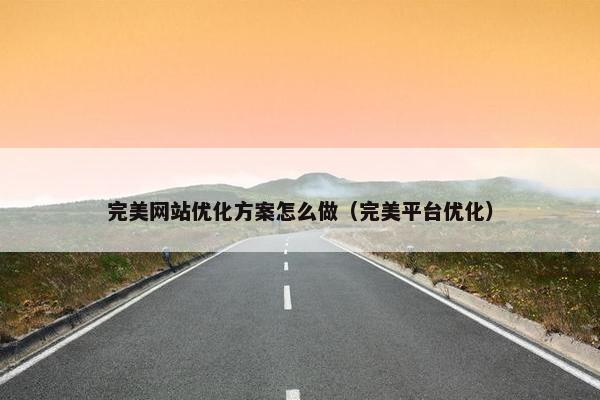 完美网站优化方案怎么做（完美平台优化）