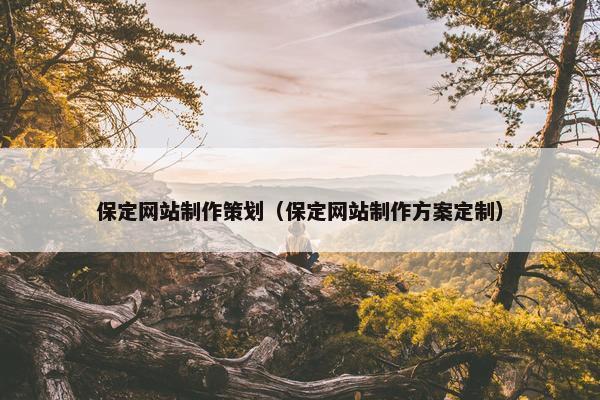 保定网站制作策划（保定网站制作方案定制）