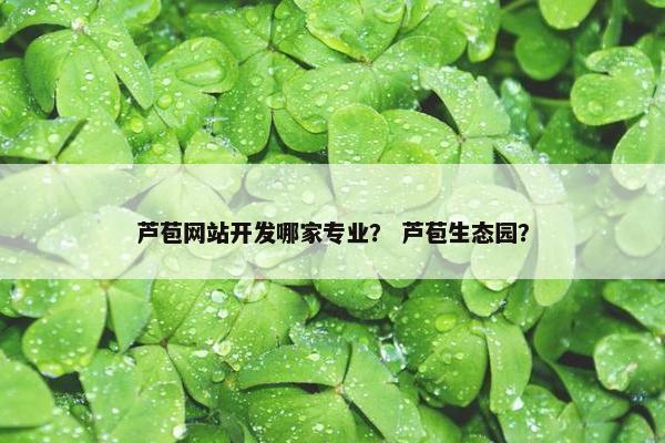 芦苞网站开发哪家专业？ 芦苞生态园？