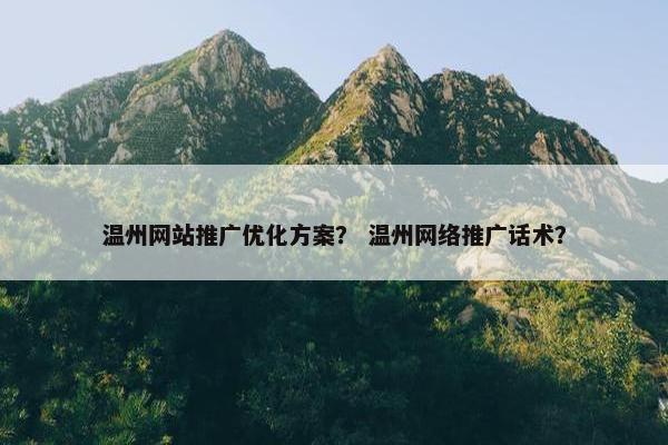 温州网站推广优化方案？ 温州网络推广话术？