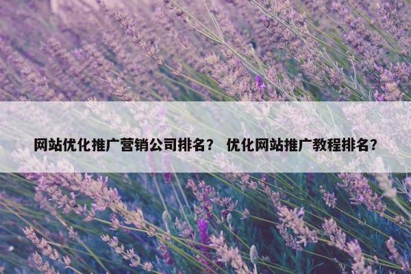 网站优化推广营销公司排名？ 优化网站推广教程排名？