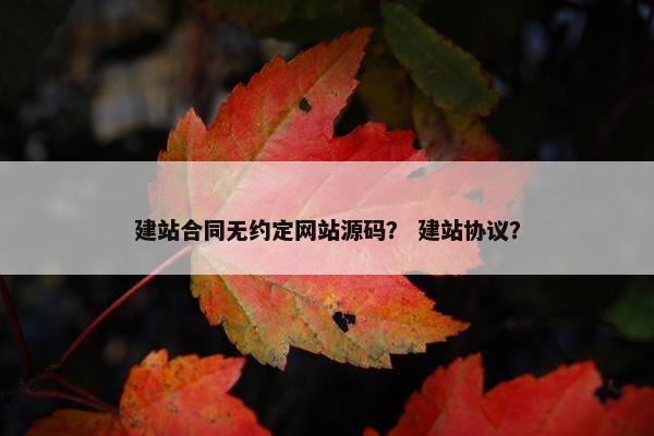 建站合同无约定网站源码？ 建站协议？