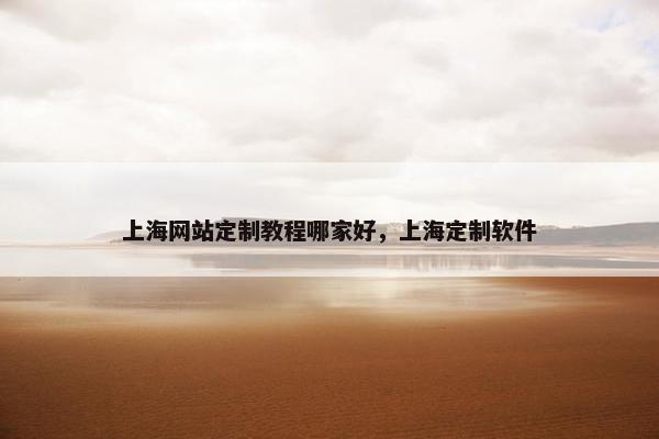 上海网站定制教程哪家好，上海定制软件