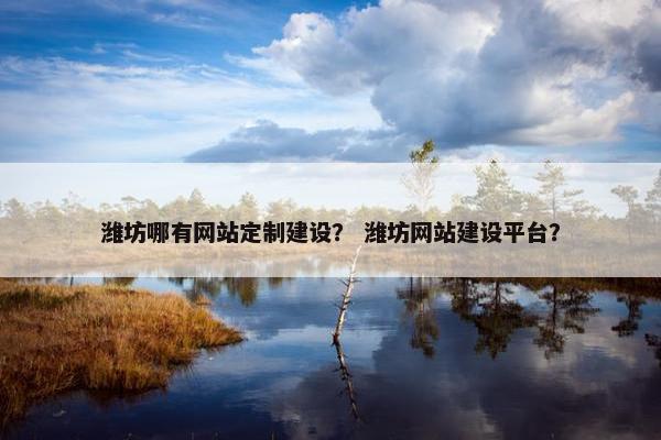 潍坊哪有网站定制建设？ 潍坊网站建设平台？