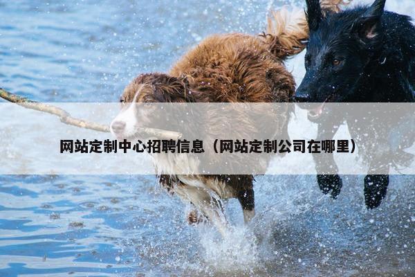 网站定制中心招聘信息（网站定制公司在哪里）