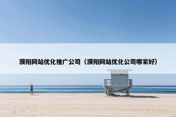 濮阳网站优化推广公司（濮阳网站优化公司哪家好）