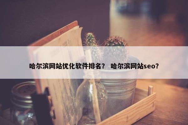 哈尔滨网站优化软件排名？ 哈尔滨网站seo？