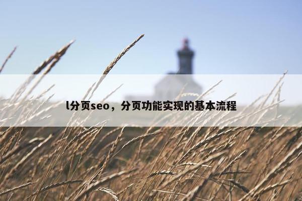 l分页seo，分页功能实现的基本流程