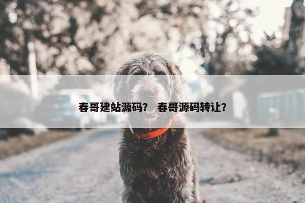 春哥建站源码？ 春哥源码转让？