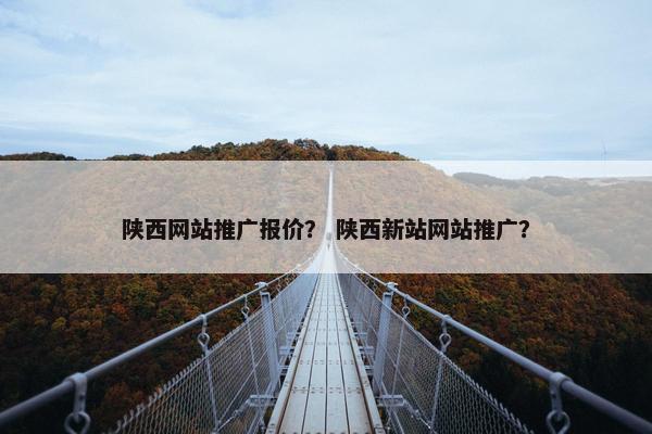 陕西网站推广报价？ 陕西新站网站推广？