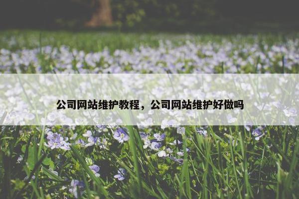 公司网站维护教程，公司网站维护好做吗