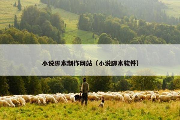小说脚本制作网站（小说脚本软件）