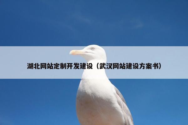 湖北网站定制开发建设（武汉网站建设方案书）