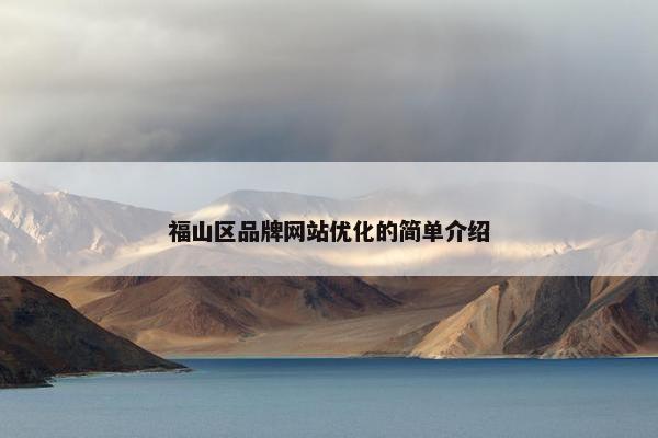 福山区品牌网站优化的简单介绍