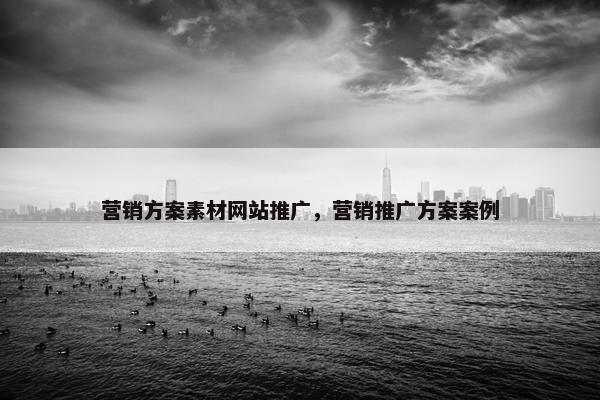 营销方案素材网站推广，营销推广方案案例