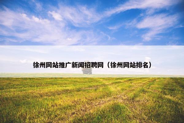 徐州网站推广新闻招聘网（徐州网站排名）
