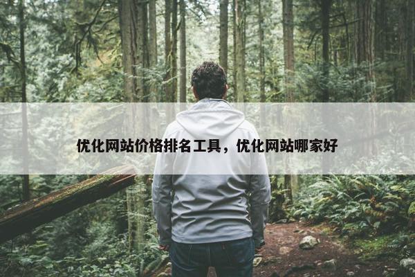 优化网站价格排名工具，优化网站哪家好