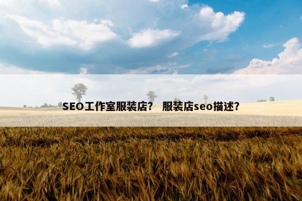 SEO工作室服装店？ 服装店seo描述？