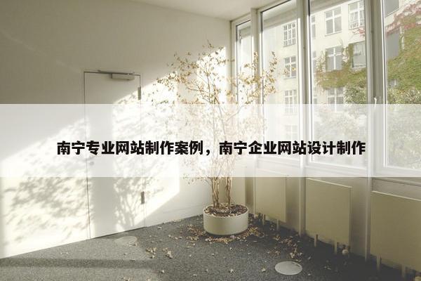 南宁专业网站制作案例，南宁企业网站设计制作