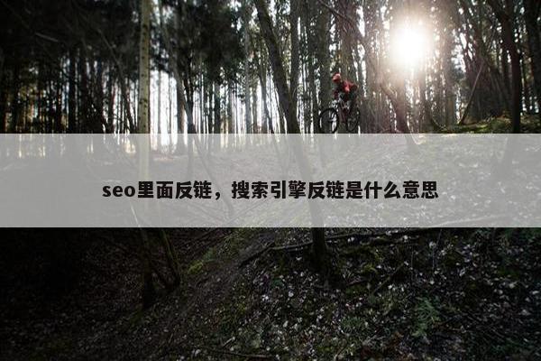 seo里面反链，搜索引擎反链是什么意思