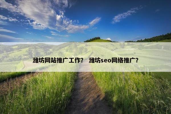潍坊网站推广工作？ 潍坊seo网络推广？