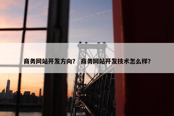 商务网站开发方向？ 商务网站开发技术怎么样？
