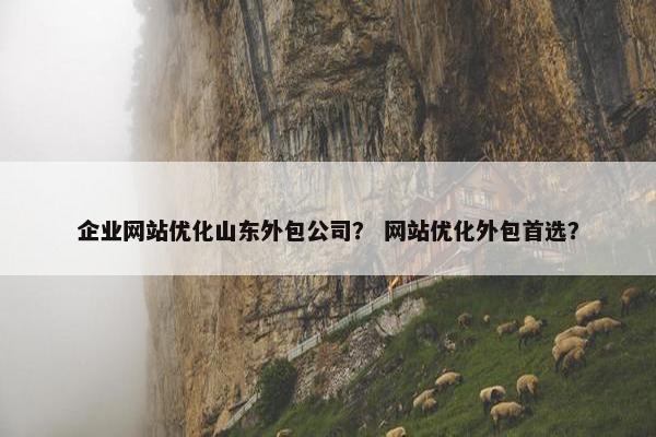 企业网站优化山东外包公司？ 网站优化外包首选？