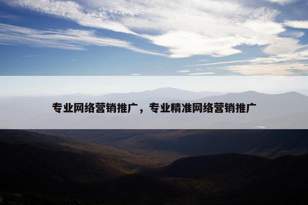 专业网络营销推广，专业精准网络营销推广