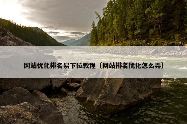 网站优化排名易下拉教程（网站排名优化怎么弄）