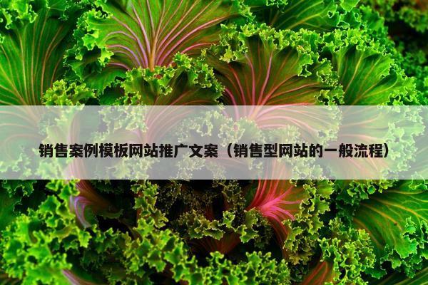 销售案例模板网站推广文案（销售型网站的一般流程）