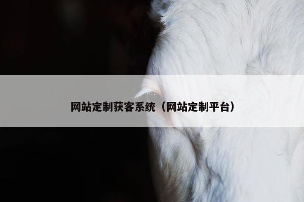 网站定制获客系统（网站定制平台）