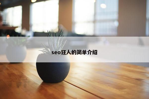 seo狂人的简单介绍