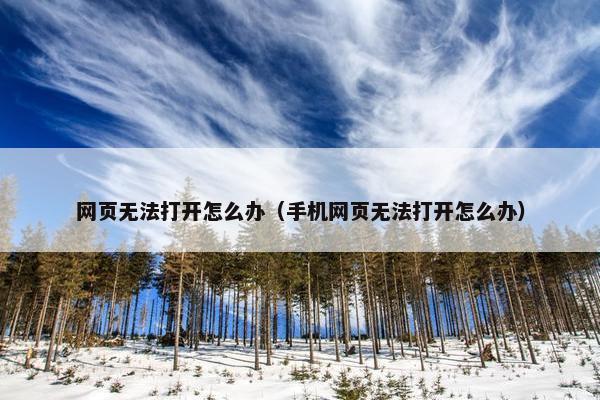 网页无法打开怎么办（手机网页无法打开怎么办）