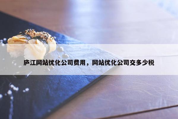 庐江网站优化公司费用，网站优化公司交多少税