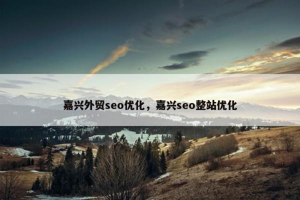 嘉兴外贸seo优化，嘉兴seo整站优化