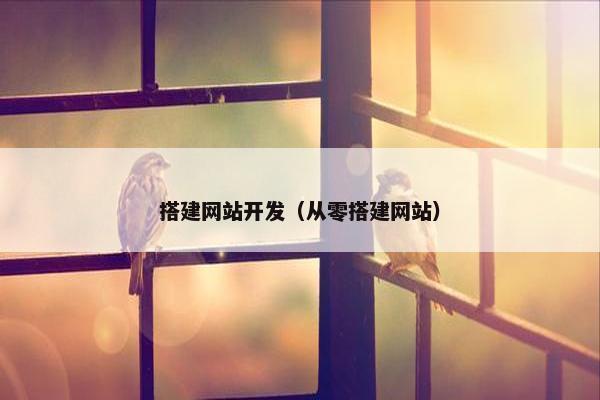 搭建网站开发（从零搭建网站）