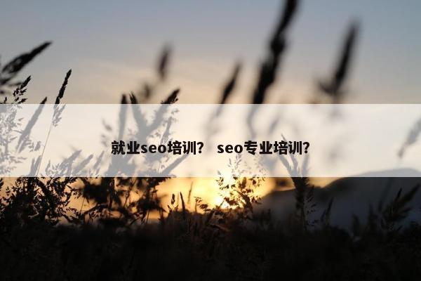 就业seo培训？ seo专业培训？