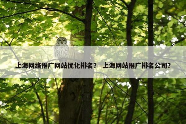上海网络推广网站优化排名？ 上海网站推广排名公司？