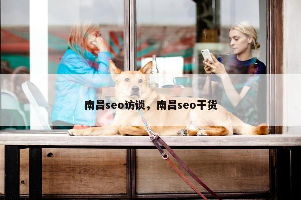 南昌seo访谈，南昌seo干货