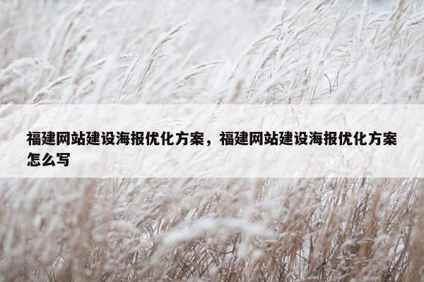 福建网站建设海报优化方案，福建网站建设海报优化方案怎么写