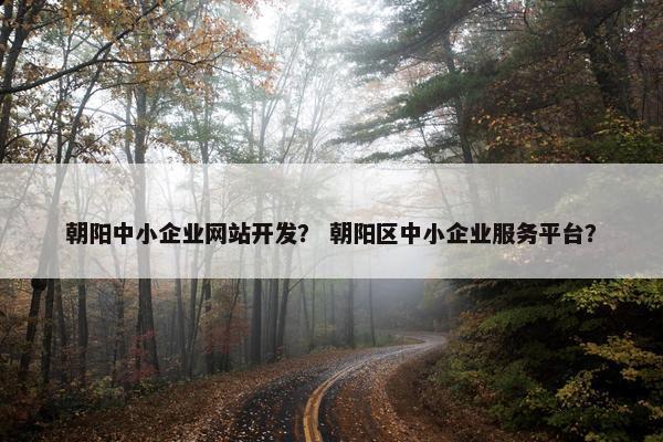 朝阳中小企业网站开发？ 朝阳区中小企业服务平台？