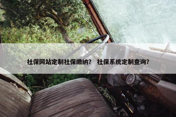 社保网站定制社保缴纳？ 社保系统定制查询？