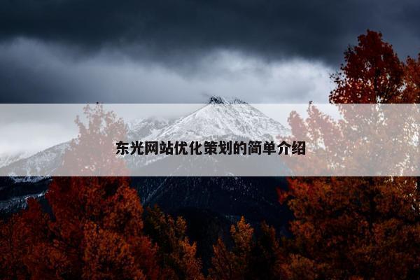 东光网站优化策划的简单介绍