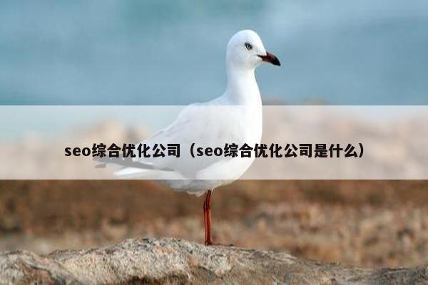seo综合优化公司（seo综合优化公司是什么）